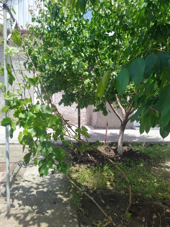 גיומרי Vanand Guest House מראה חיצוני תמונה