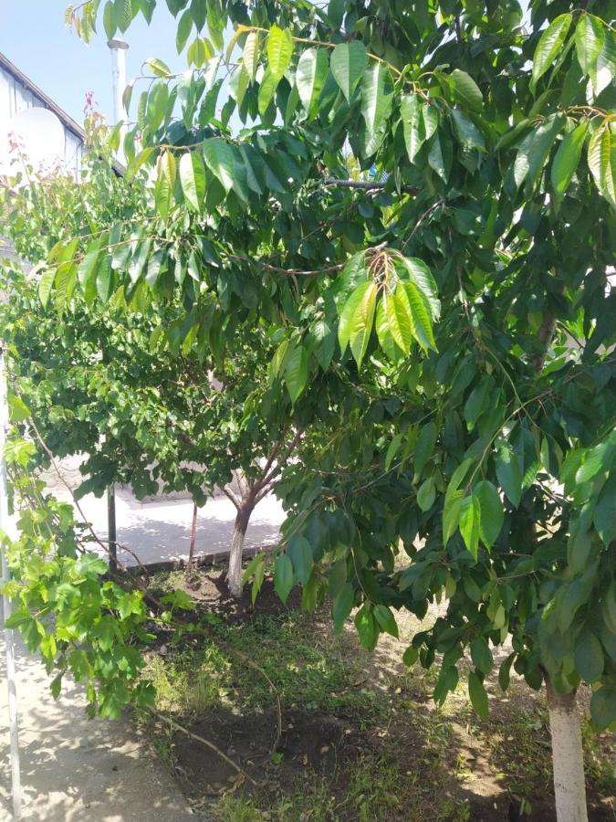 גיומרי Vanand Guest House מראה חיצוני תמונה
