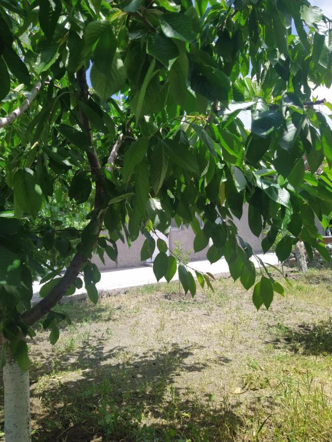 גיומרי Vanand Guest House מראה חיצוני תמונה